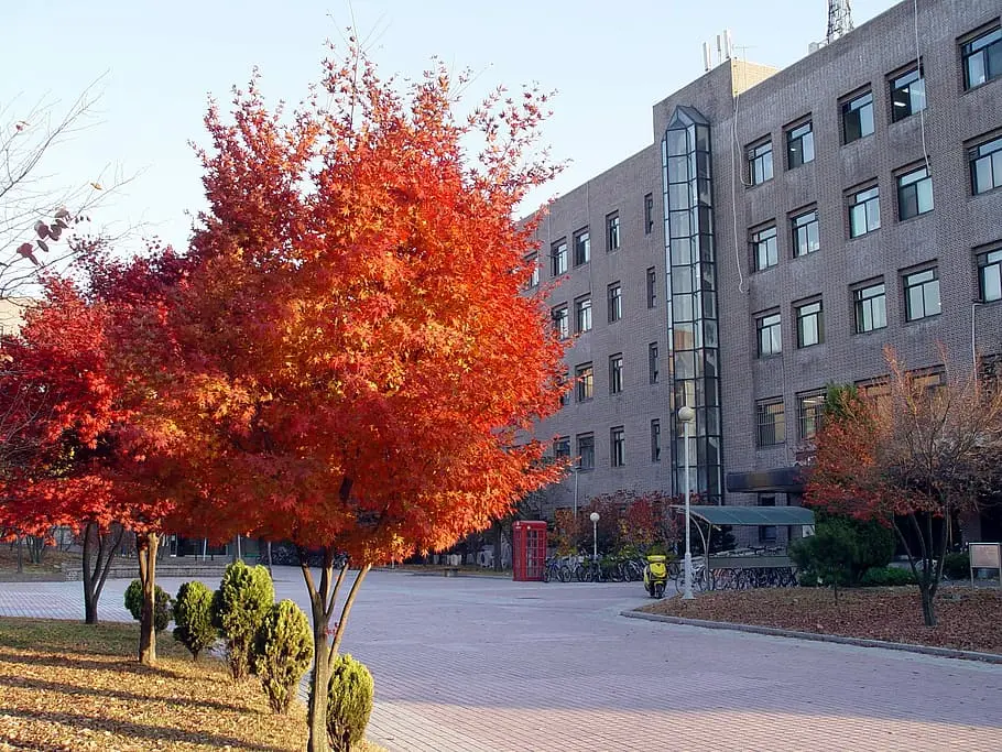 Sungkyunkwan University